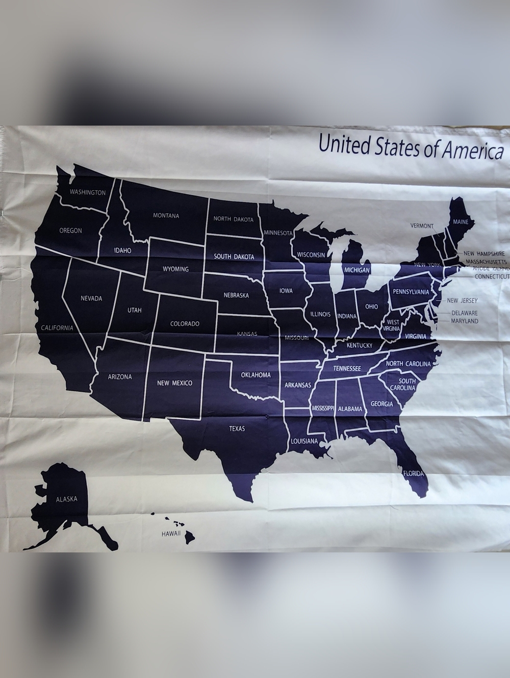 United States Map Wall Tapestry NEW